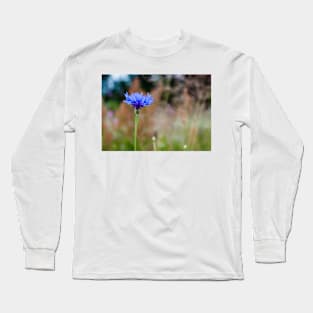 Blue cornflower Long Sleeve T-Shirt